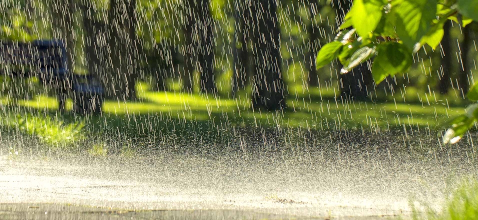 Regen tropft auf eine Grünfläche