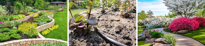 Drei Bilder von Botanischen Gärten inkl. Bewässerungsmethode nebeneinander
