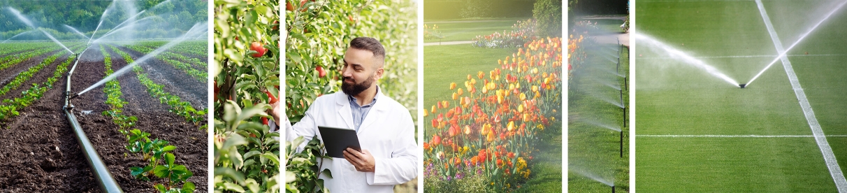 Whitepaper: Professionell bewässern – Tipps & Tricks